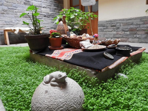 Picaflor Tambo Guest House image 13